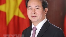Chủ tịch nước Trần Đại Quang. (Nguồn: TTXVN)