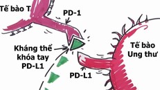 Bác sĩ Việt Nam: 'Liệu pháp miễn dịch là tiến bộ đột phá trong chữa ung thư'