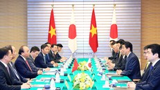 Thủ tướng Nguyễn Xuân Phúc hội đàm với Thủ tướng Nhật Bản Shinzo Abe. Ảnh: VGP/Quang Hiếu