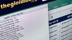 Đại diện Thế giới di động phủ nhận việc hệ thống của mình bị tấn công. Đáp lại điều này, hacker bí ẩn đã cung cấp thêm một loạt số tài khoản được cho là của khách hàng Thế giới di động.