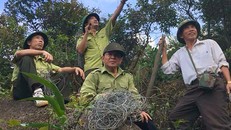 Hà Tĩnh truy tìm thủ phạm giăng gần 400 bẫy thú trên núi Hồng Lĩnh