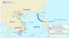 Chủ động ứng phó với vùng áp thấp trên khu vực Nam Biển Đông
