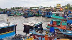 Phương tiện vào bờ neo đậu an toàn tại bến Cần Thạnh (huyện Cần Giờ). Ảnh: Mạnh Linh/Báo Tin tức