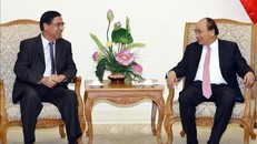 Thủ tướng Nguyễn Xuân Phúc tiếp Đại sứ Nguyễn Phú Bình. Ảnh: Thống Nhất/TTXVN