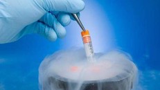 Chạy đua với thời gian cứu tinh trùng của chàng trai Hà Nội đã chết