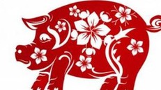 Những năm Kỷ Hợi đáng nhớ trong lịch sử dân tộc Việt Nam