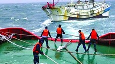 7 thuyền viên tàu bị nạn ở Hải Phòng đã được đưa vào bờ an toàn