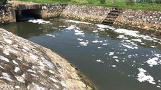 Bọt nổi trắng xóa tại miệng cống gây ô nhiễm môi trường. (Ảnh: Công Luật/TTXVN)