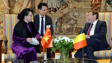 Chủ tịch Quốc hội Nguyễn Thị Kim Ngân hội kiến với Chủ tịch Hạ viện Bỉ Siegfried Bracke. (Ảnh: Trọng Đức/TTXVN)