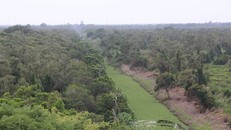 Rừng ở Vườn Quốc gia U Minh Hạ đứng trước nguy cơ cháy rất cao