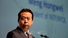 Chủ tịch Tổ chức Cảnh sát hình sự quốc tế (Interpol) Mạnh Hoành Vĩ phát biểu tại Đại hội thế giới Interpol ở Singapore ngày 4/7/2017. Ảnh: AFP/TTXVN