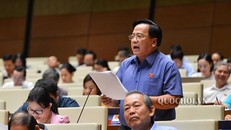 Đại biểu Nguyễn Thanh Xuân (TP Cần Thơ). Ảnh: quochoi.vn