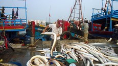 Ngư dân bám biển bất chấp lệnh cấm của Trung Quốc