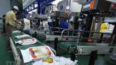 Đóng gói sản phẩm gạo xuất khẩu tại nhà máy của Công ty Cổ phần Nông nghiệp công nghệ cao Trung An, quận Thốt Nốt, thành phố Cần Thơ. (Ảnh: Vũ Sinh/TTXVN)