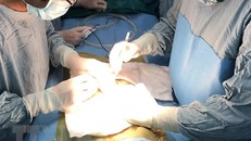 Ảnh minh họa. (Ảnh: TTXVN phát)