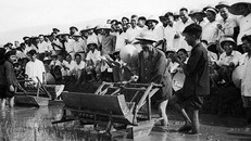 Chủ tịch Hồ Chí Minh đến thăm Sở Nông Lâm Hà Nội và sử dụng thử chiếc máy cấy tại ruộng thí nghiệm của Sở (7/1960). (Nguồn: TTXVN)