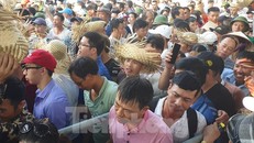 Vạn người chen lấn, xô đẩy xem chọi trâu Đồ Sơn