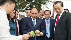 Ảnh: VGP/Quang Hiếu