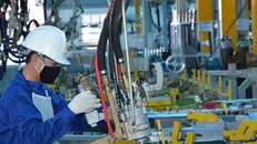 Tỷ trọng nhóm ngành công nghiệp chế biến, chế tạo trong GDP theo giá cơ bản giai đoạn 2016-2019 tăng qua từng năm.