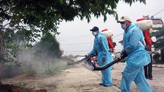 Ảnh minh họa: Internet