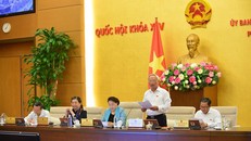 Dự thảo Nghị quyết thí điểm không tổ chức HĐND tại các phường của Hà Nội được Uỷ ban Thường vụ cho ý kiến vài ngày tới