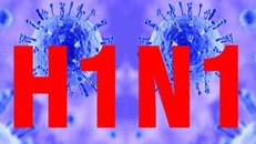 Bệnh nhân thứ 2 tử vong do mắc cúm A/H1/N1 ​