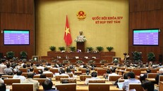 Các Đại biểu Quốc hội biểu quyết thông qua Luật Dân quân tự vệ (sửa đổi) với 443/446 phiếu tán thành, chiếm 91,72%. Ảnh: Dương Giang/ TTXVN