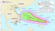 Dự báo đường đi của bão PHANFONE