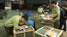 Lạng Sơn: Tạm giữ 620 hộp phấn trang điểm xuất xứ từ Trung Quốc