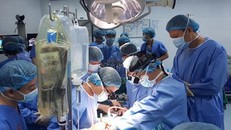 Những cuộc hồi sinh kỳ diệu ​