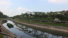 Một khúc sông Tô Lịch trong ngày khởi công. (Ảnh Mạnh Khánh/TTXVN)