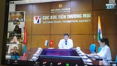 Hội thảo trực tuyến “Xúc tiến thương mại thông qua Cộng đồng người Việt Nam tại Ấn Độ và Nepal”.