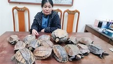 Đối tượng Nguyễn Thị Sen cùng tang vật.