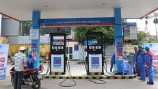 Từ 15h hôm nay (11/9), giá xăng, dầu đồng loạt giảm