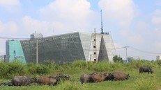 Công trình Trung tâm Triển lãm quy hoạch TP nhiều năm qua chỉ là một khối bê tông nằm trơ trọi giữa đồng trống. Ảnh: Trần Anh Ngọc