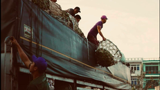 Chênh vênh đời cửu vạn - Bài 1: Bán sức đổi cơm