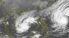 Năm 2019 sẽ có khoảng 10-12 cơn bão đổ bộ vào nước ta 