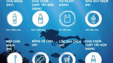 Nhựa sẽ ảnh hưởng đến môi trường trong bao lâu?