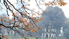 Trong ảnh: Vẻ đẹp quyến rũ của Hồ Gươm. (Ảnh: Minh Quyết - TTXVN)