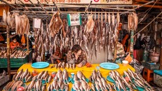 Hàng ngàn loại hải sản được bày bán tại Chợ Jagalchi