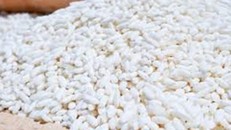 Trung Quốc là thị trường xuất khẩu gạo nếp lớn nhất của Việt Nam, chiếm tới 36,3% thị phần gạo nếp xuất khẩu. Ảnh: Gạo nếp Tín Thương.