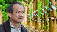 Bầu Đức chia tay cao su sau nhiều năm chịu đựng