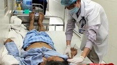 Nghi nhiễm liên cầu lợn thông qua vết thương hở, một người tử vong