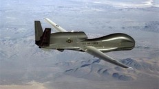 Máy bay trinh sát và do thám không người lái RQ-4 Global Hawk của Mỹ, tương tự máy bay bị lực lượng phòng không Iran bắn rơi. (Nguồn: AFP/TTXVN)