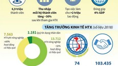 Khu vực kinh tế hợp tác xã đóng góp 4% GDP cả nước