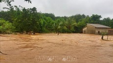 Nước lũ dâng cao trên địa bàn xã Phú Sơn, huyện Bù Đăng, tỉnh Bình Phước. Ảnh: Đậu Tất Thành/TTXVN