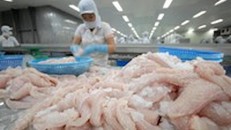 Mỹ tiếp tục là thị trường xuất khẩu thủy sản lớn nhất của Việt Nam