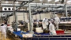 Dây chuyền công nghệ khép kín trong chế biến thịt của Tập đoàn Massan tại Việt Nam - Ảnh: VGP/Đỗ Hương