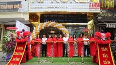 Viện thẩm mỹ NT – Korea (288B8 – B9 đường Nam Kỳ Khởi Nghĩa, phường 8, quận 3, TP.HCM) bị xử phạt hành chính và buộc đóng cửa 9 tháng vì quảng cáo và hoạt động mà không được cấp phép