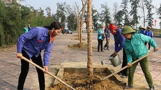 Người dân trồng cây trên vỉa hè đường Bình Minh, thị xã Cửa Lò (tỉnh Nghệ An). Ảnh: NGUYỄN HẢI